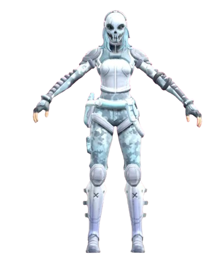 RNRIDER - 1 День Кастомный скин